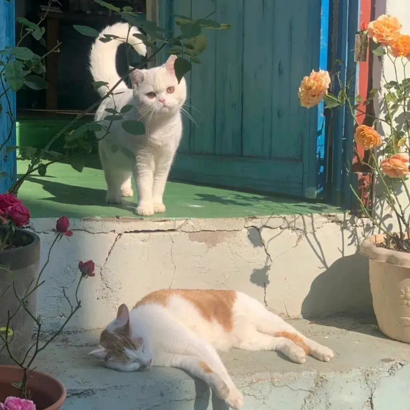 耳朵福利：超好听的华语R&B合集 | 在线播放 | 网易云音乐