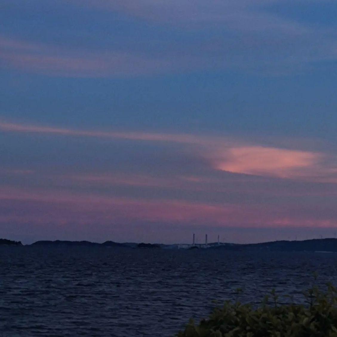 Magnolia (sped up down)