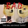 BIG ASS DOGE - Too Fire (feat. Lil Trevor & THE O)