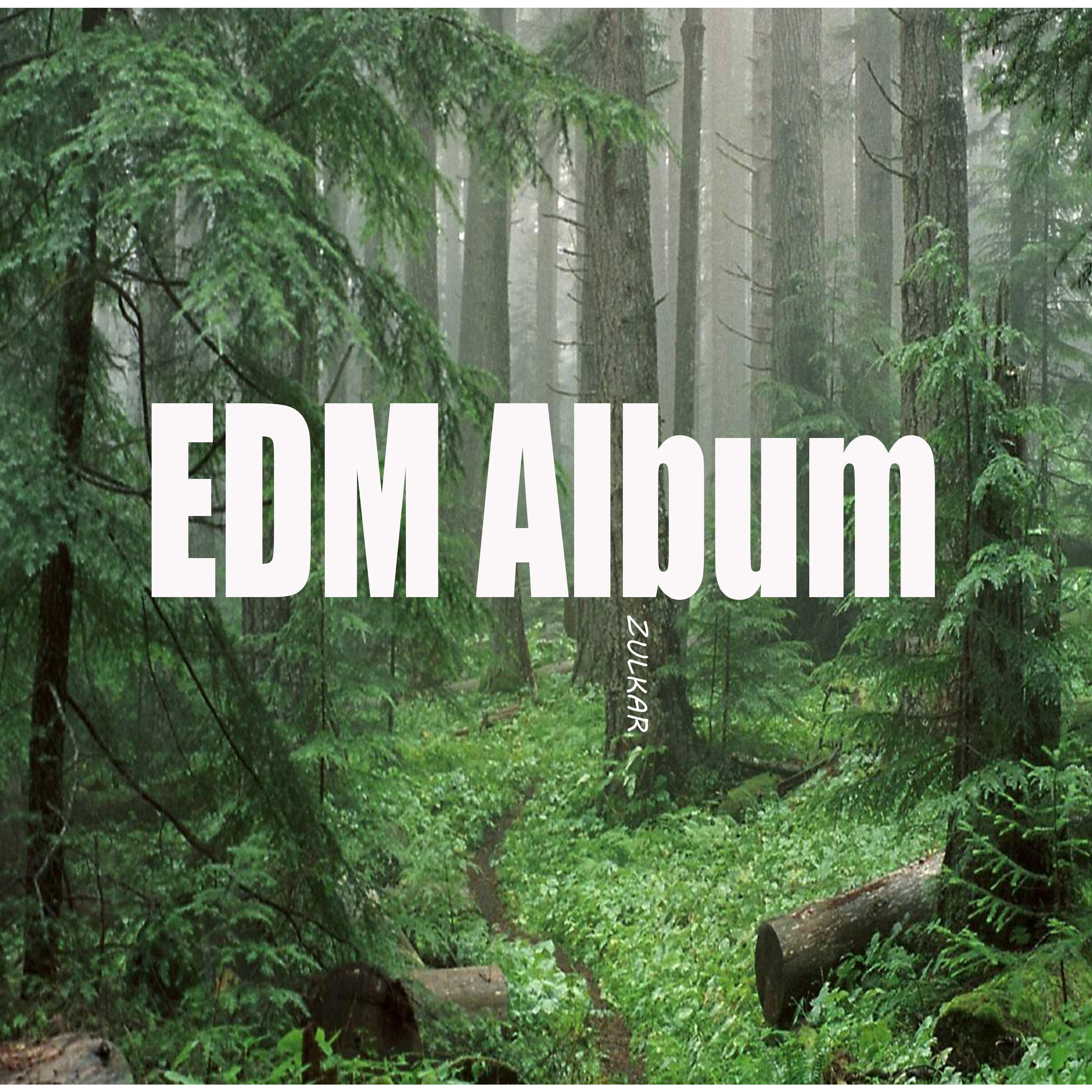 EDM Album专辑