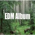 EDM Album