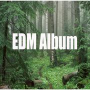 EDM Album