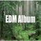 EDM Album专辑