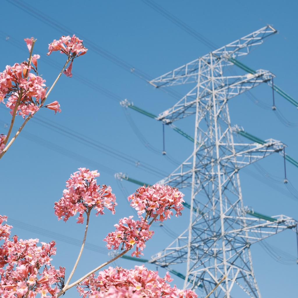 廣東歌拯救世界 | 在线播放 | 网易云音乐