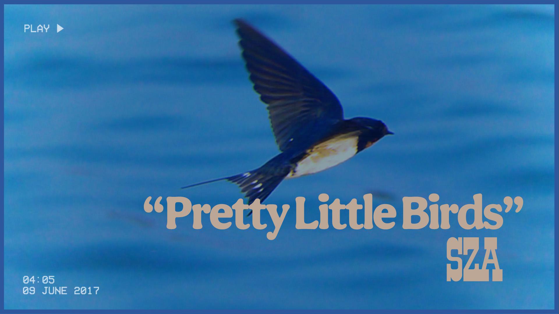 Pretty Little Birds (Official Lyric Video) - SZA - 高清MV - 网易云音乐