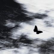 忧郁海