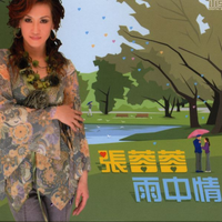 张蓉蓉 - 你咁有真心爱过(原版立体声伴奏)