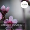 Drizzle Studio Nature Studio - Cheerful Waves Distant Muffed Harmony