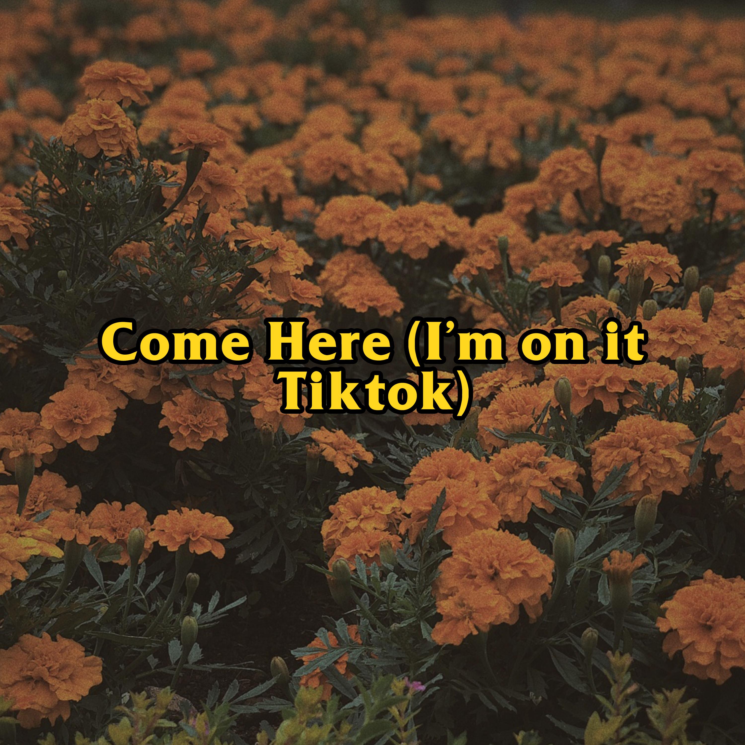 Come Here (I'm On It Tiktok)