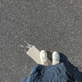 即使没有月亮，心中也是一片皎洁