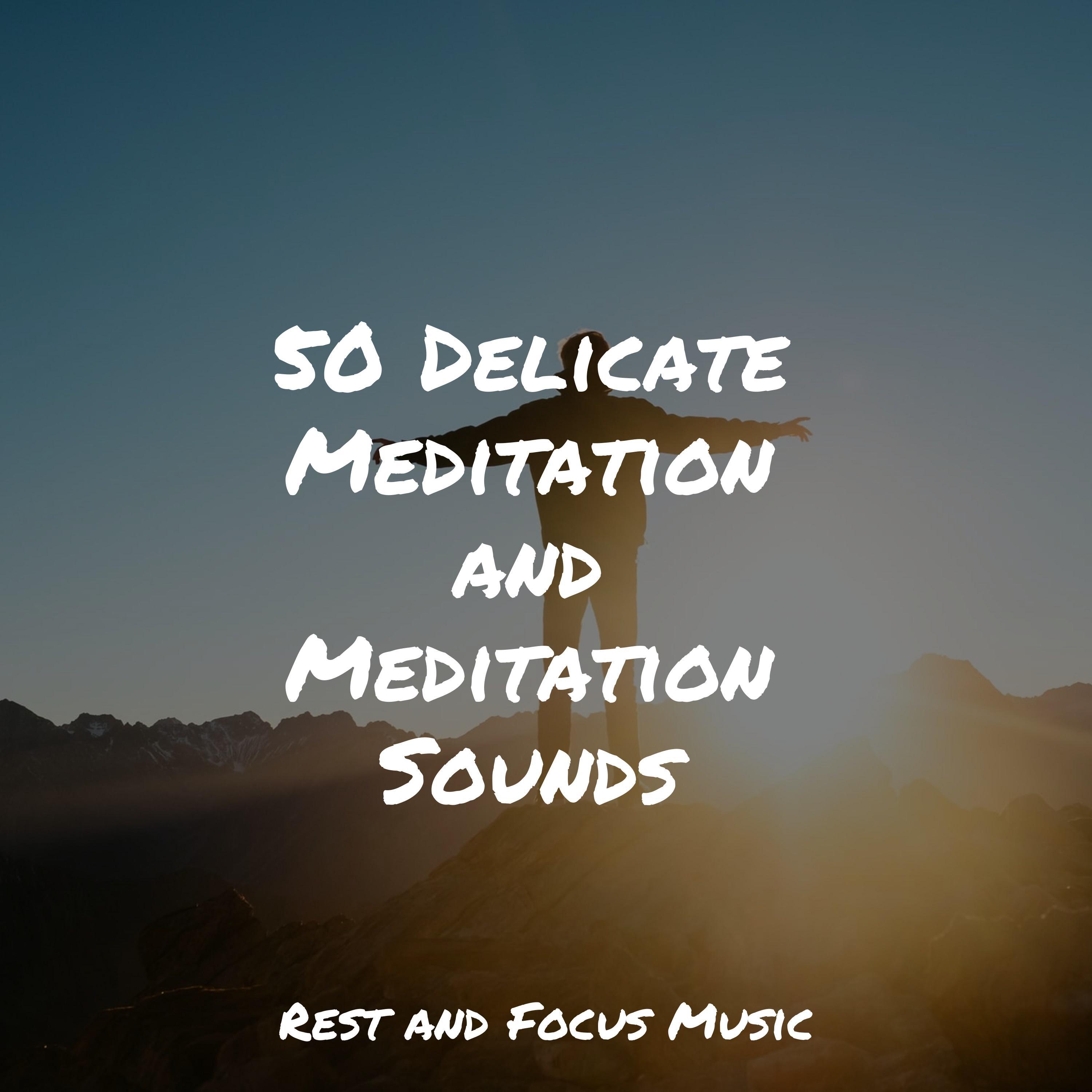 50 Delicate Meditation and Meditation Sounds