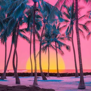 夏日情怀簿丨傍晚海风中漫步于棕榈海岸.