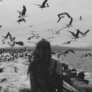 静下来听一首后摇 | 在线播放 | 网易云音乐