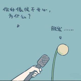 武汉理工大学音乐鉴赏25选1
