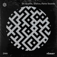De Qualite, Shelco, Fame Sounds - Dna (Intro Dirty) 128