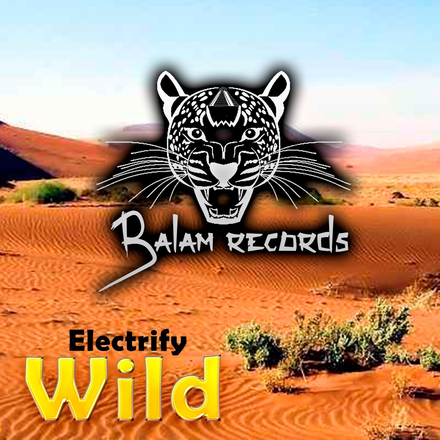 Electrify - Wild