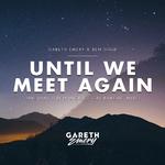 Until We Meet Again (Remixes)专辑
