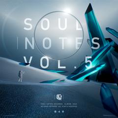 Soul Notes Vol. 5