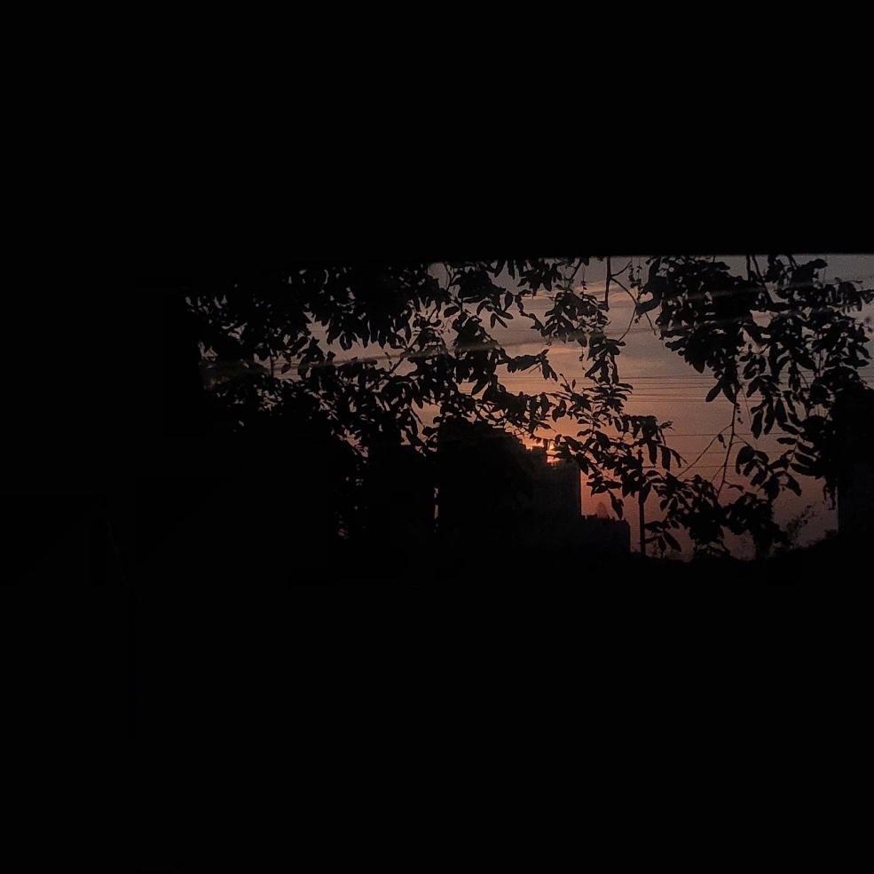 “枫”她会对我说谎吗