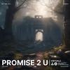 VirtualzoneMusic - Promise 2 U