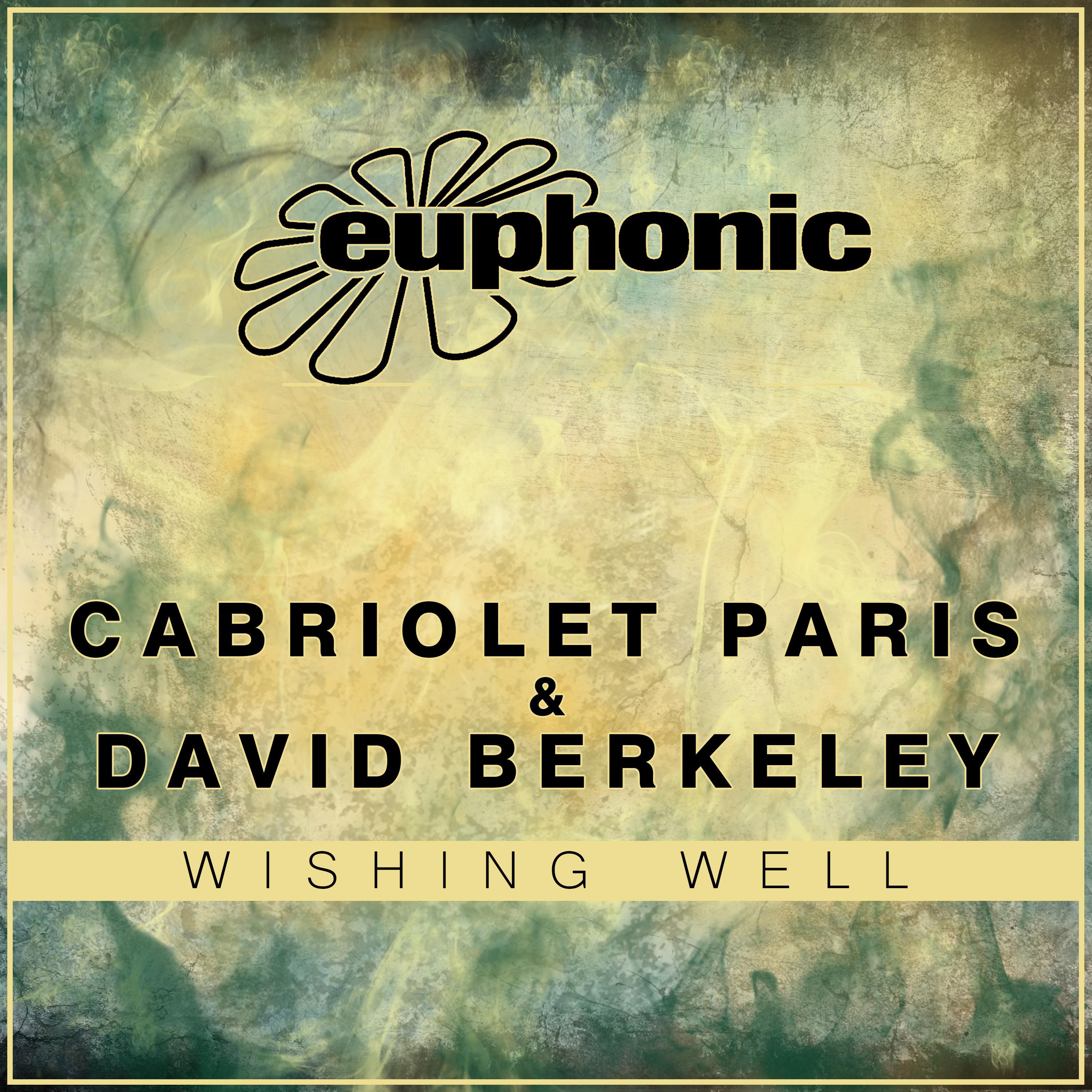 David Berkeley - Wishing Well (Original Mix)