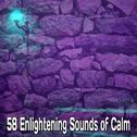 58 Enlightening Sounds of Calm专辑