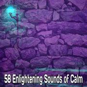 58 Enlightening Sounds of Calm