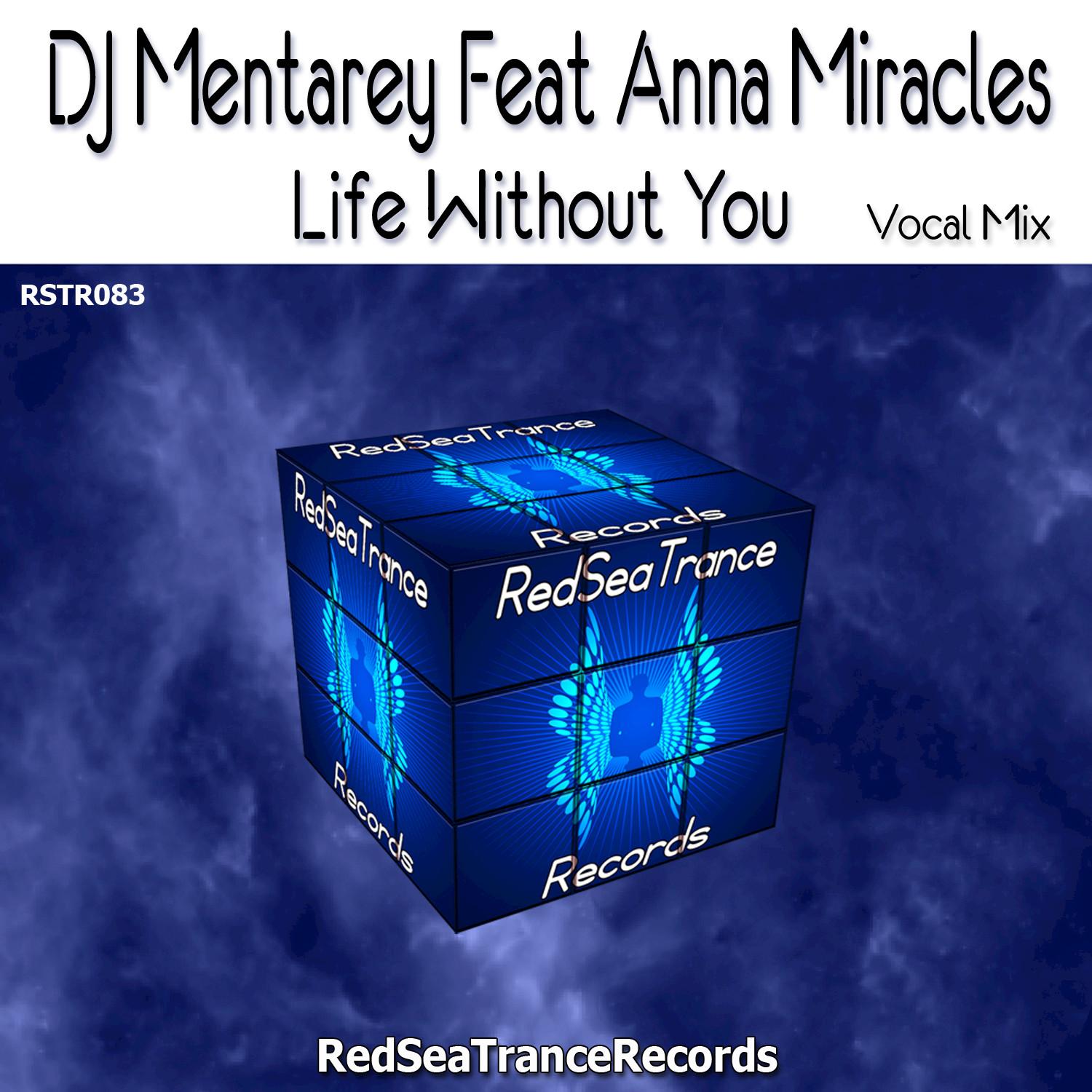 Life Without You (feat. Anna Miracles)