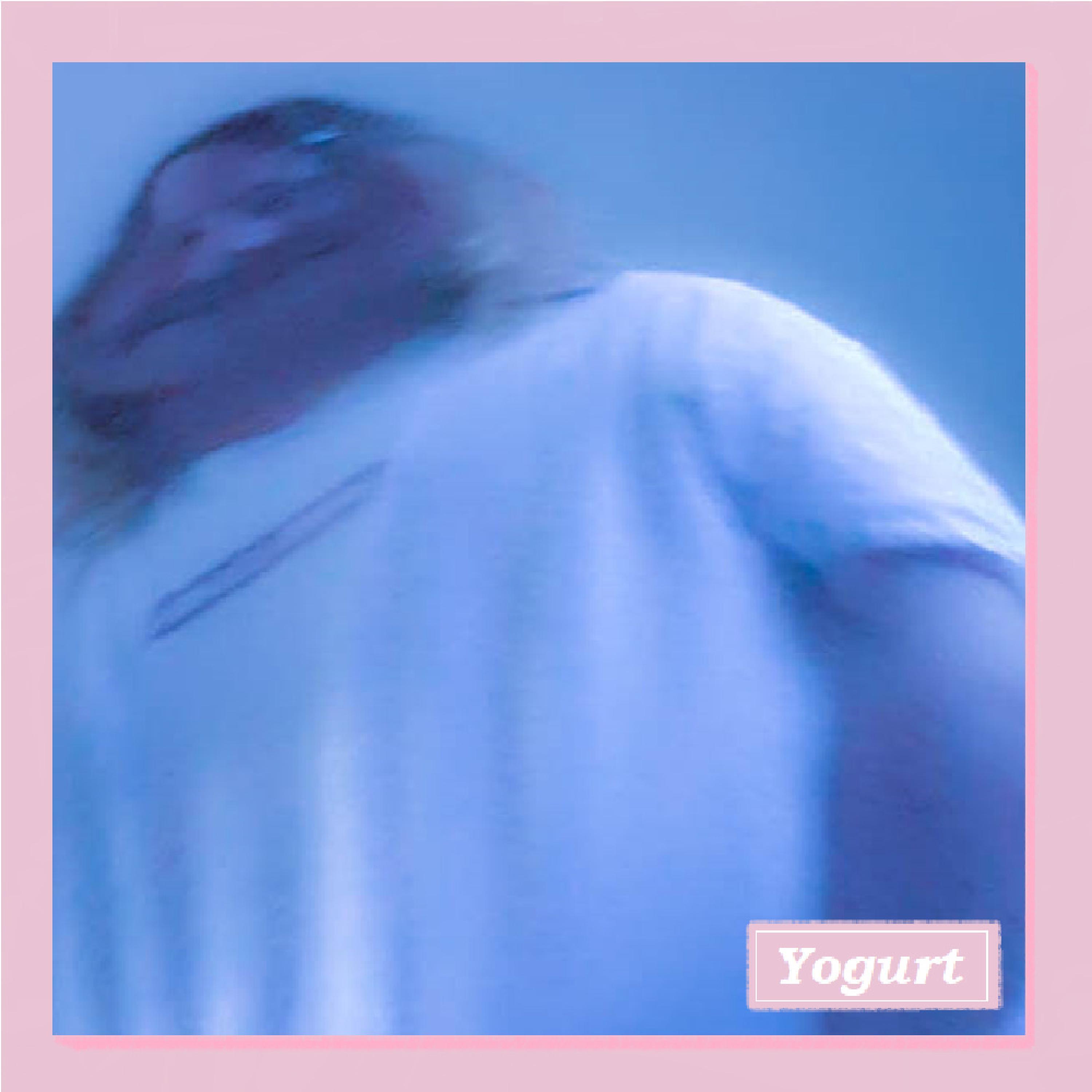 Yogurt