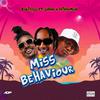 Boutross - Miss Behavior