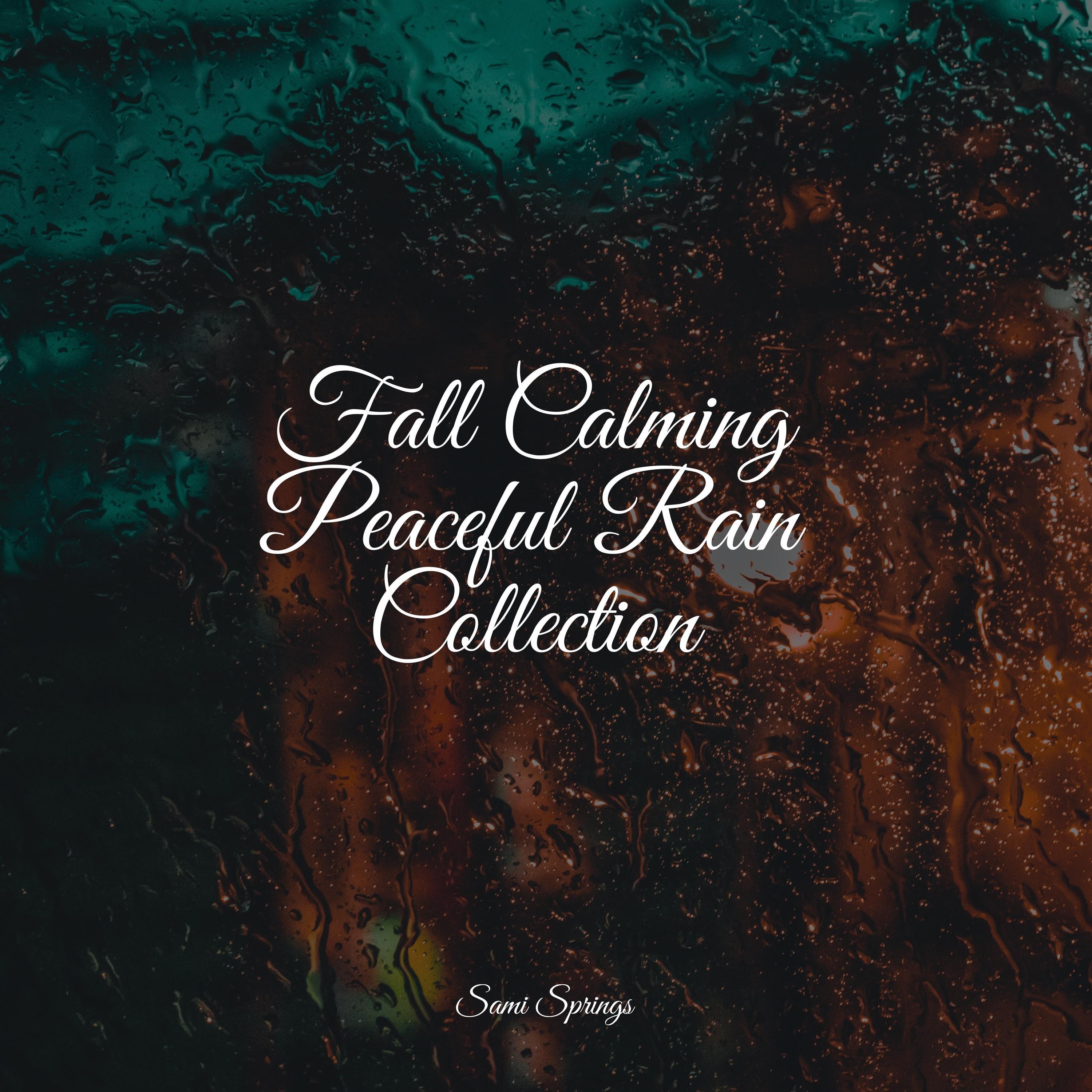 Fall Calming Peaceful Rain Collection