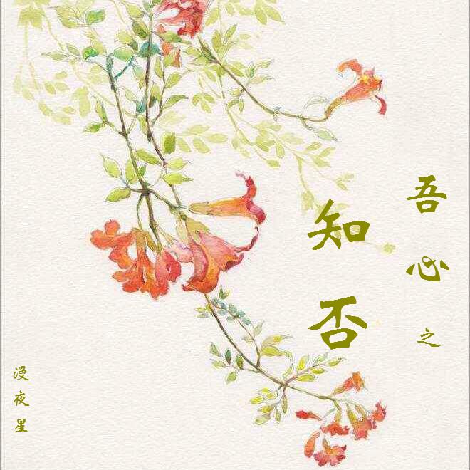 知否知否应是绿肥红瘦纯音乐