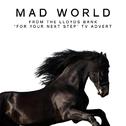 Mad World (From the Lloyds Bank "For Your Next Step" T.V. Advert)专辑