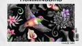 Hummingbird (KAAZE Mix)专辑