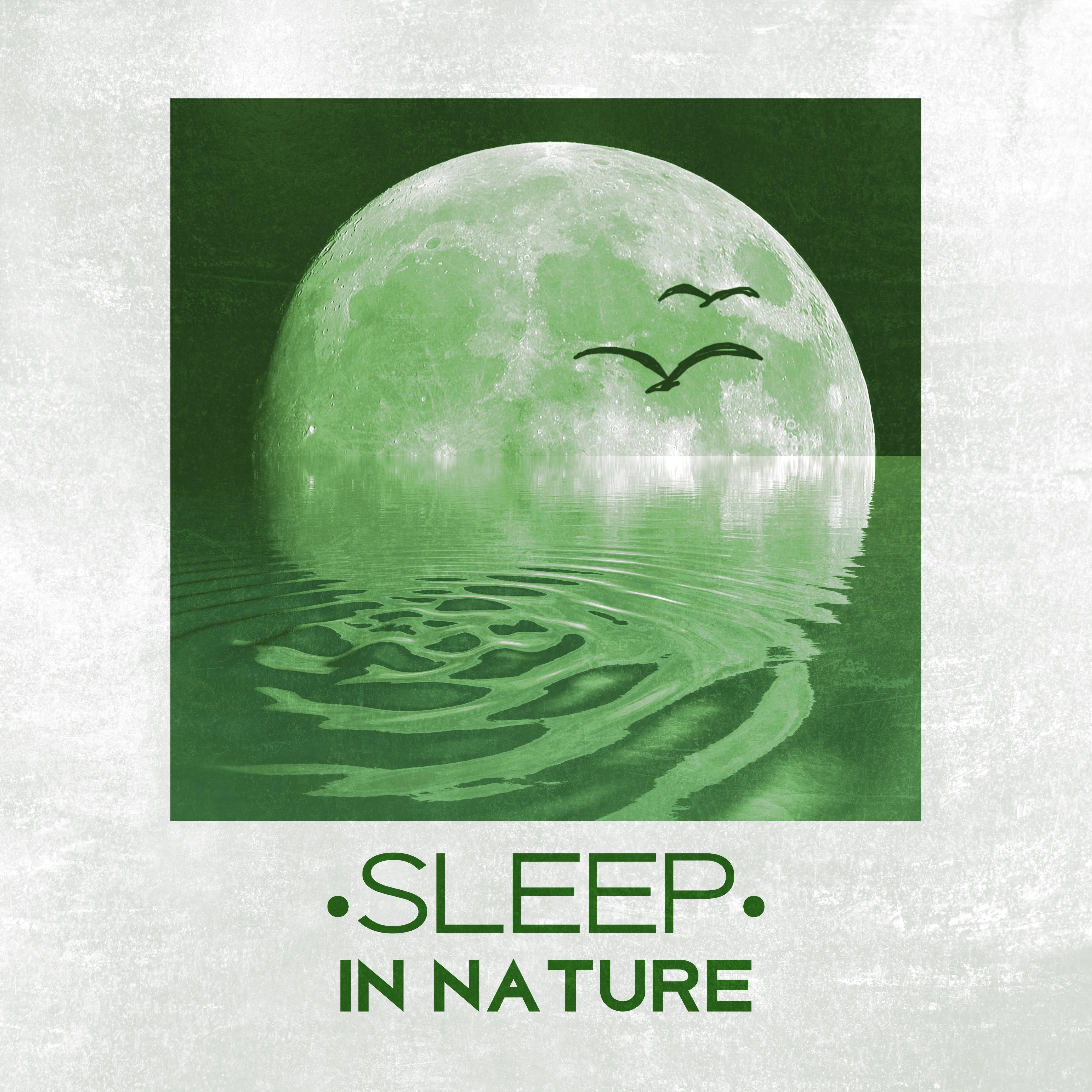 Sleep in Nature - Peaceful Sounds of Nature for Sleep, Easily Fall Asleep, Relax, Restful Sleep专辑