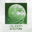 Sleep in Nature - Peaceful Sounds of Nature for Sleep, Easily Fall Asleep, Relax, Restful Sleep专辑