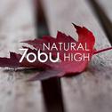 Natural High专辑