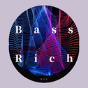 Bass Rich专辑