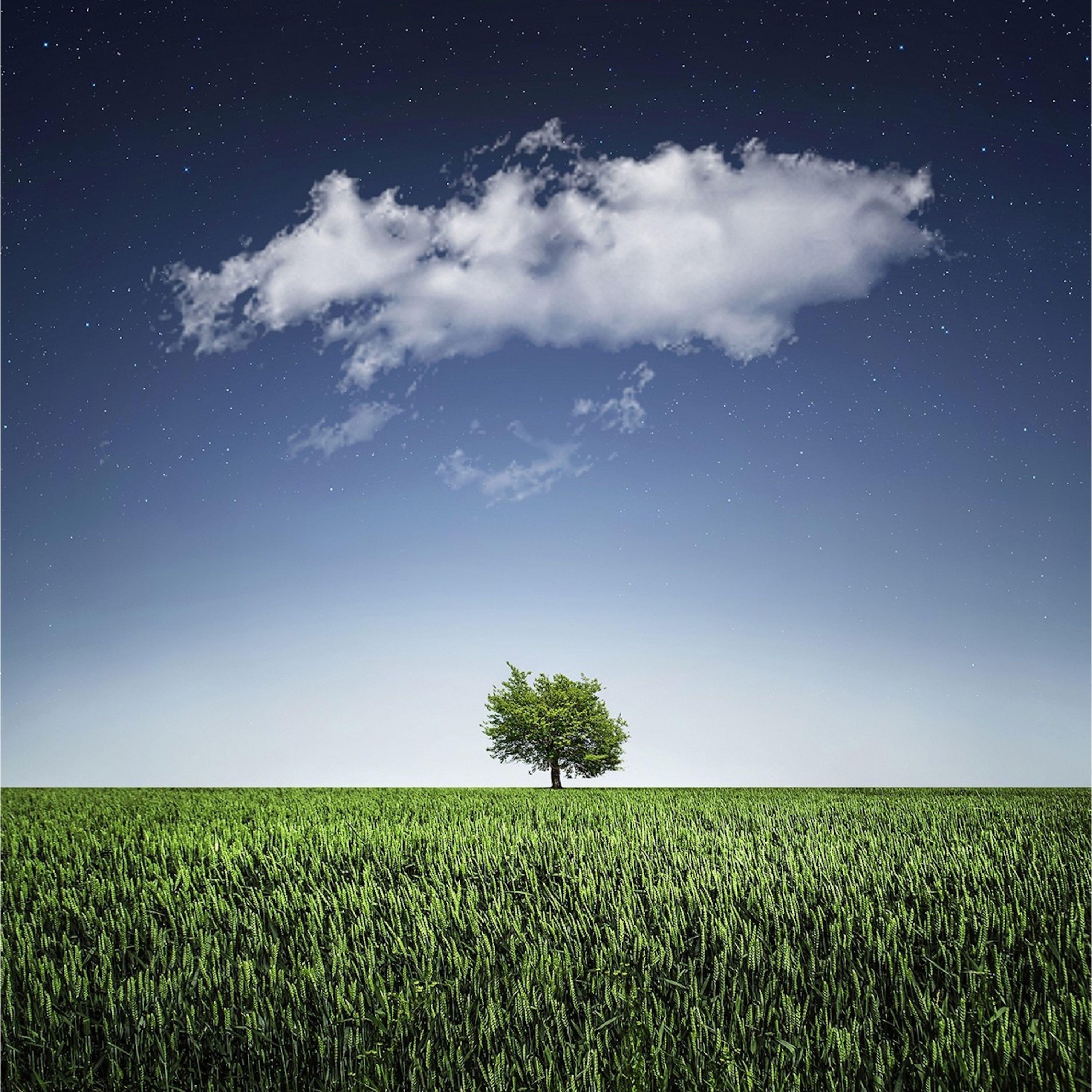 Soothing Melodies | Tension Relief