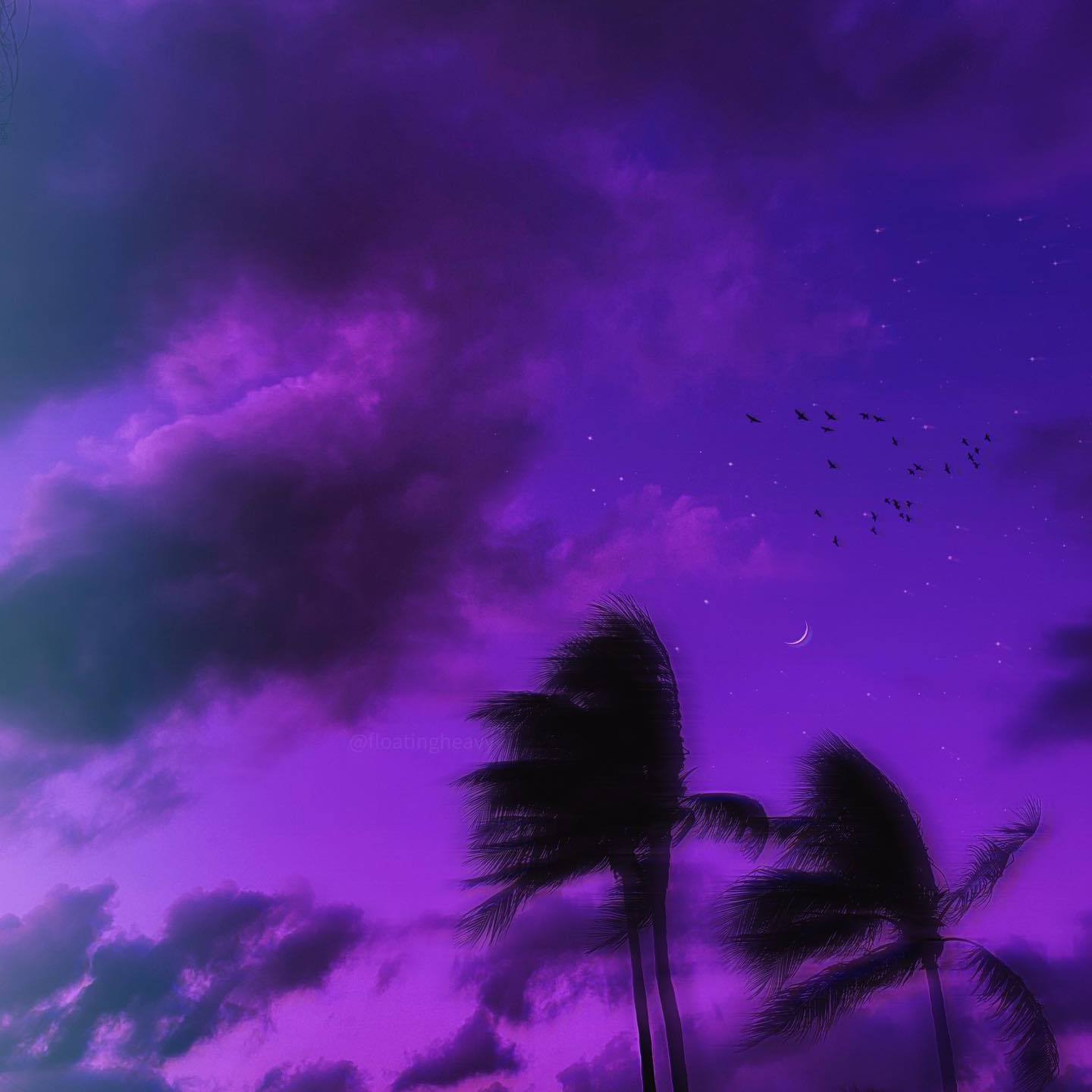 c0de731歌曲封面