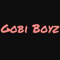 GobiBoyz