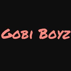 GobiBoyz