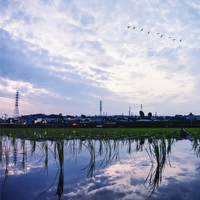 雨のち SweetDrops日本正版和声