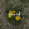 Nolan Santo - Dead Set