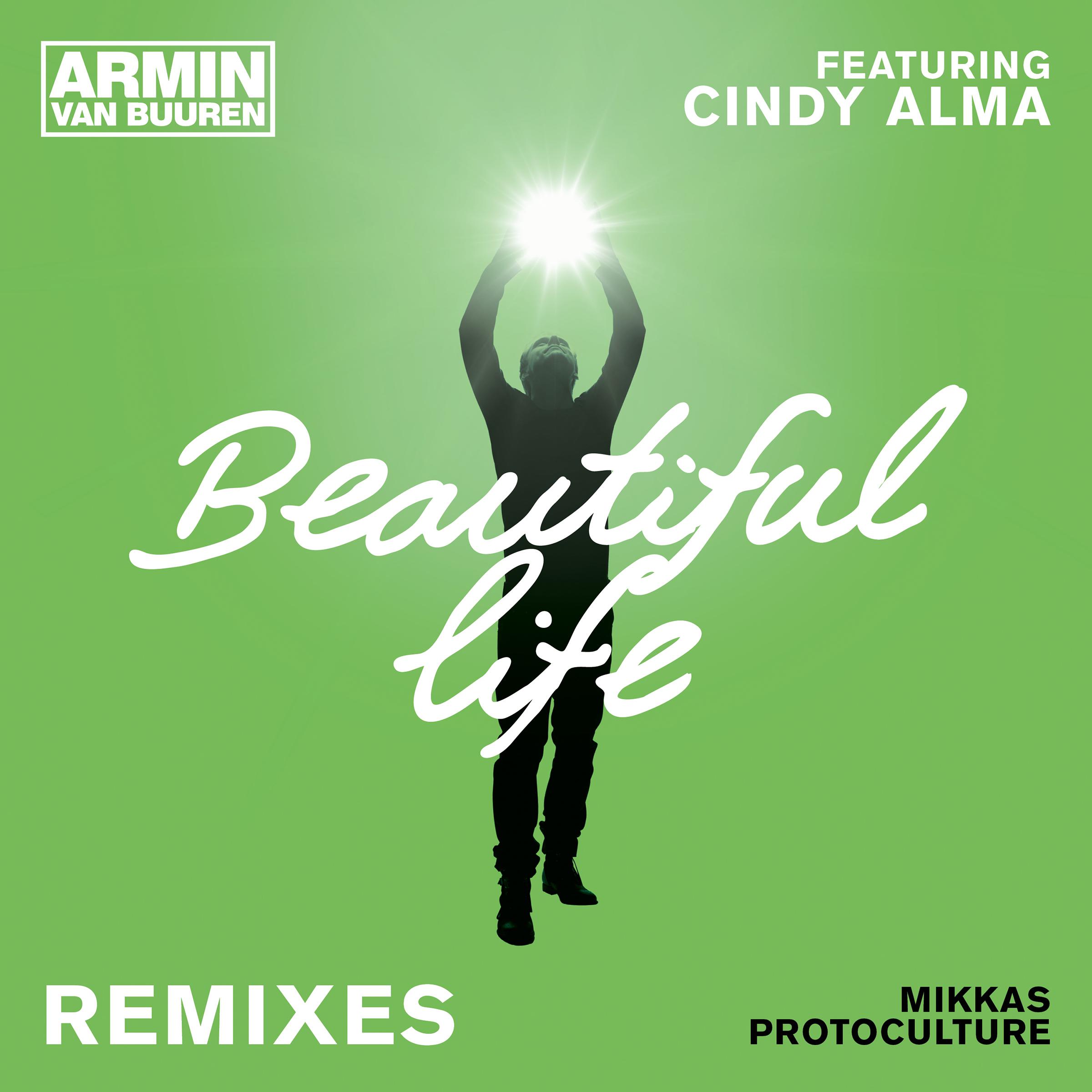 Beautiful Life (Remixes)专辑