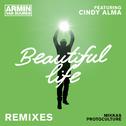 Beautiful Life (Remixes)专辑