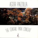 The Central Park Concert专辑