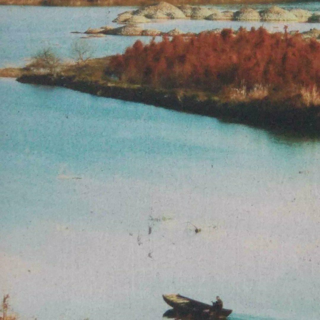古琴|水清无滞 木素成灰：与天地精神相会
