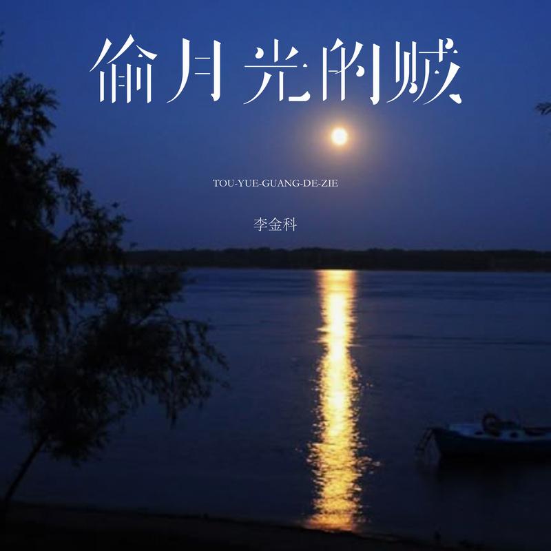 偷月光的贼 (DJ沈乐版)