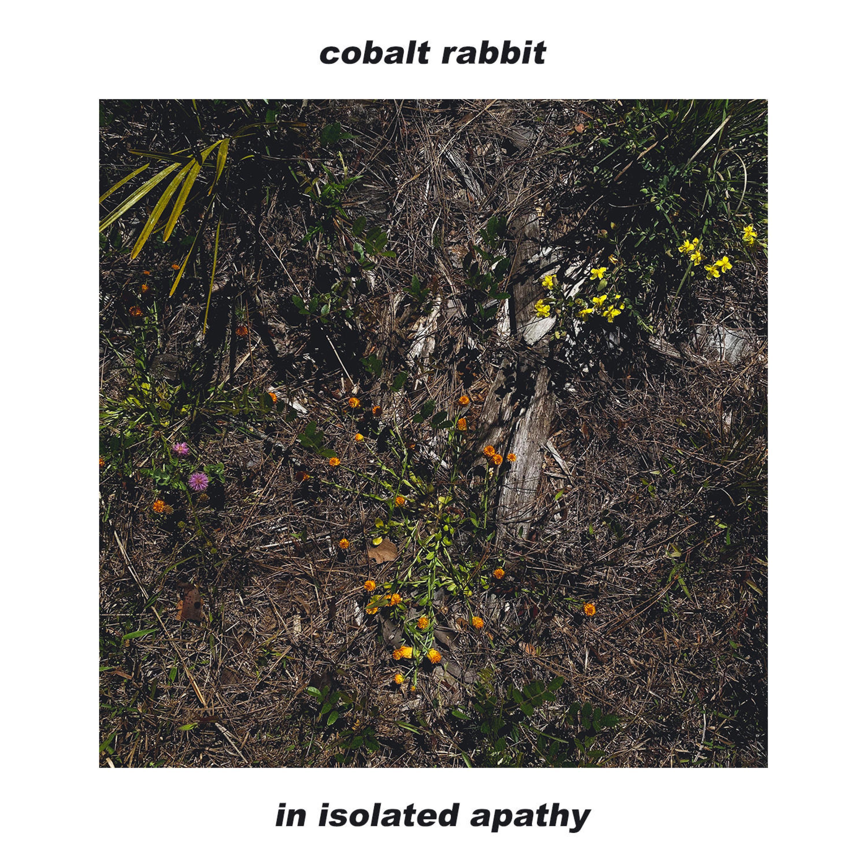 in isolated apathy